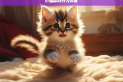 小猫踩奶行为探秘，小猫踩奶行为探秘