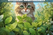 猫为什么喜欢薄荷？揭秘猫咪与薄荷的神秘关系