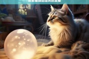 探索猫咪咕咕叫的奥秘，猫咪咕咕叫的奥秘探索