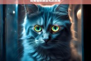 探秘猫眼睛变化的奥秘，猫眼睛变化奥秘探秘