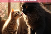 关于大猫舔小猫现象的探究，大猫舔小猫现象之探究