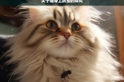 关于猫身上跳蚤的探究，猫身上跳蚤的相关探究