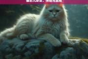 猫的九条命，传奇与真相，猫之九条命，传奇与真相揭秘