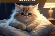 猫咪为何喜欢粘人，猫咪喜欢粘人的原因