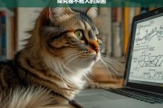 探究猫不粘人的原因，猫为何不粘人