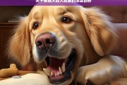 关于泰迪犬咬人现象的深度剖析，泰迪犬咬人现象剖析