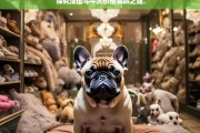 探究法国斗牛犬价格高昂之谜，法国斗牛犬价格高昂的原因探究