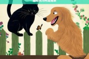 猫和狗为何是冤家，猫和狗为何是冤家