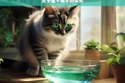 关于猫不喝水的探究，猫为何不喝水之探究