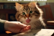 猫咪舔人手的原因，揭秘舔舐行为背后的情感与本能