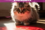 猫与激光笔的奇妙关系，猫与激光笔的奇妙关系探秘