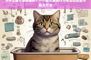 猫咪为何不用猫砂？行为原因与解决策略探析