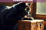 探索猫咪爱钻盒子的奥秘，猫咪为何爱钻盒子