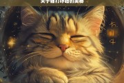 关于猫打呼噜的奥秘，猫打呼噜的奥秘解析