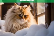 猫不怕冷的奥秘，猫不怕冷的奥秘探究