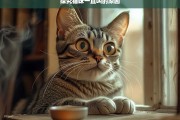 探究猫咪一直叫的原因，猫咪为何一直叫