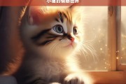 小猫的情感世界，探索小猫的情感世界