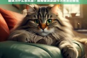 猫咪蹭蹭行为背后的秘密，为什么猫咪喜欢蹭？