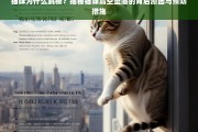 猫咪跳楼之谜，揭秘高空坠落的背后原因与预防策略