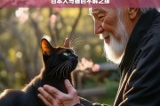 日本人与猫的不解之缘，日本人与猫的缘分之旅