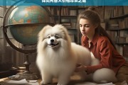 探究柯基犬价格昂贵之谜，柯基犬价格昂贵的原因探究