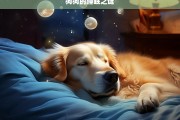 狗狗的睡眠之谜，探索狗狗的睡眠之谜