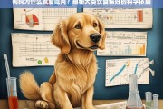 狗狗为何偏爱肉类？科学解析犬类饮食偏好的原因