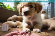 狗生小狗后为何吃胎盘？科学解析母犬产后行为的背后原因