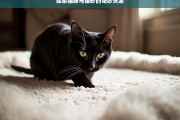 探索猫咪与猫砂的奇妙关系，猫咪与猫砂的奇妙关联探索