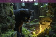 关于猫爪的探秘，猫爪探秘之旅