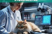 关于猫得狂犬病的深入探究，猫与狂犬病的深度剖析