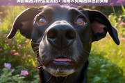 揭秘犬类嘴唇颜色，为什么狗的嘴唇是黑的？