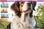 贵宾犬泪痕成因、预防与护理全解析