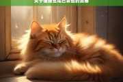 关于猫睡觉尾巴会动的奥秘，猫睡觉尾巴动的奥秘解析