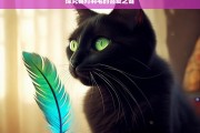 探究猫对羽毛的喜爱之谜，猫为何喜爱羽毛