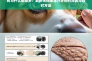 狗狗眼屎多的原因解析及应对方法