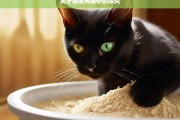 关于猫使用猫砂的探究，探究猫与猫砂的使用