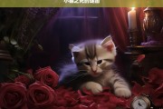 小猫之死的谜团，小猫之死的神秘谜团