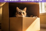 为什么猫喜欢盒子？揭秘猫咪与纸箱的不解之缘