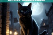 猫咪夜半歌声，揭秘半夜叫唤的五大原因