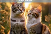 公猫与母猫之美，公猫与母猫的独特之美