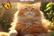 猫咪为何不怕热，猫咪不怕热的原因