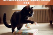 猫咪为何痴迷卫生纸？揭秘背后的奇妙原因