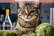 探究猫不喜欢猫薄荷的原因，猫为何不喜欢猫薄荷