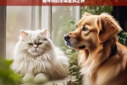 猫与狗的忠诚差异之析，猫与狗忠诚差异剖析