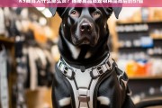 K9胸背价格高昂的背后，揭秘高品质宠物用品的价值所在