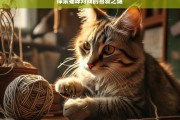 探索猫咪对线的喜爱之谜，猫咪对线喜爱的秘密探索