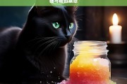 猫与糖的禁忌，猫与糖，鲜为人知的禁忌