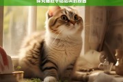 探究猫肚子咕咕叫的原因，猫肚子咕咕叫的原因探究