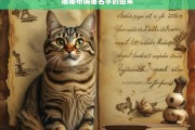 揭秘布偶猫名字的由来，布偶猫名字的由来揭秘